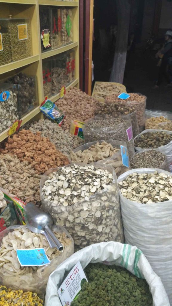 Traditional Chinese Medicine shop – bags filled with everything from gizzards to lizards (for wizards). There were some less-strange things, too, like dried tea leaves, plums, and mushrooms.