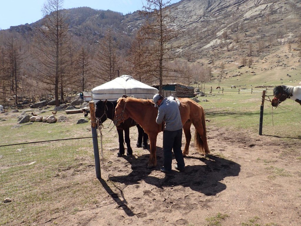 Horses, featuring Bagi – the ever-smiling, missing-a-few-teeth owner of the camp. What little English he knew was always spoken in third person: “Bagi has wife” or “Bagi come back one hour”