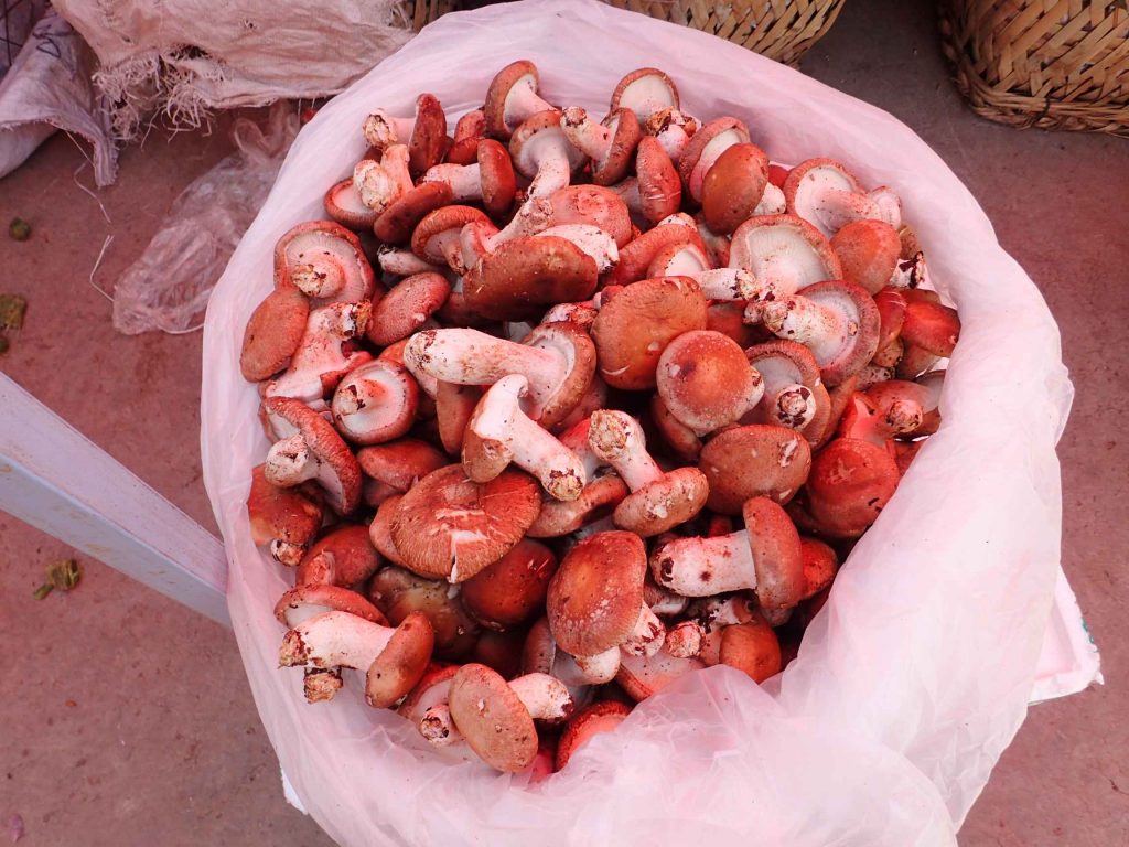 Finally found some fresh mushrooms in the produce section! Unfortunately, these were farmed in a dark room somewhere. They’re still good quality I’m sure, just not foraged in the nearby hills (so not the desirable morels/chanterelles/porcini/matsutake/etc)