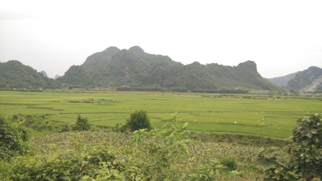 Rice paddies and mountains