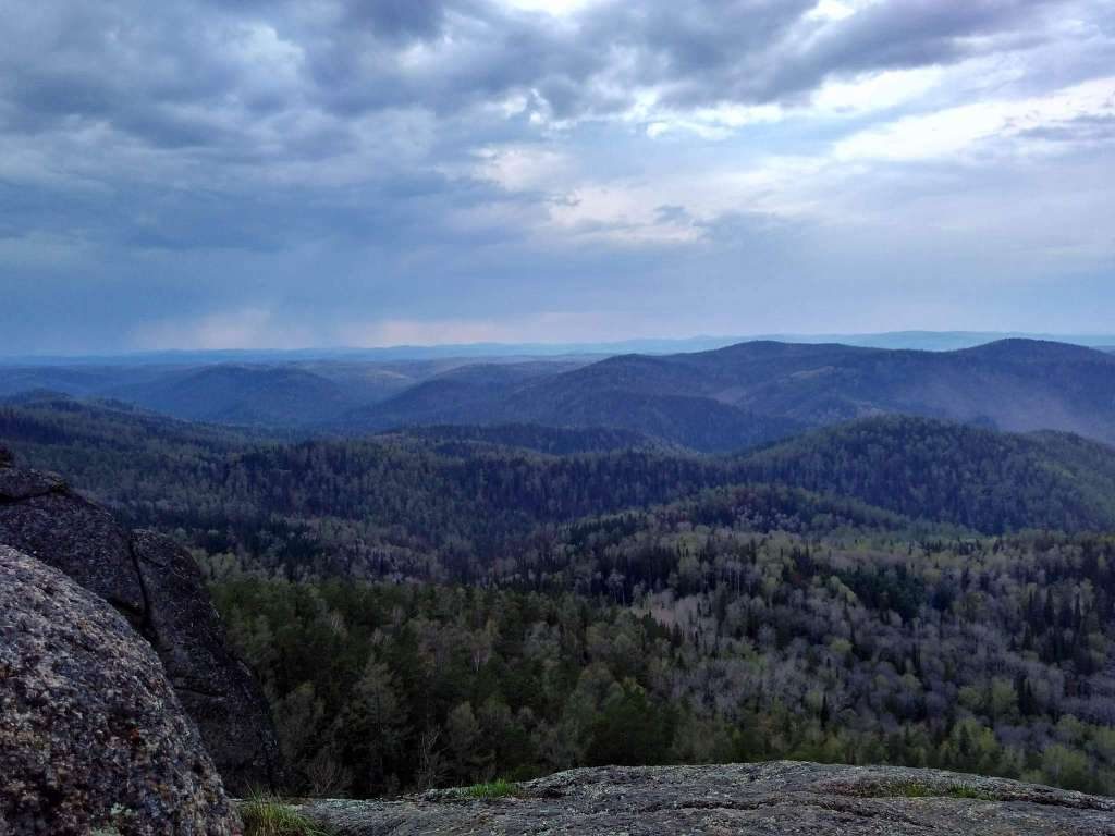 Siberian forest as far as the eye can see