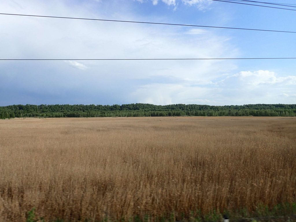 The Russian countryside alternates between Soviet cities, little wooden-housed villages, forest of varying density, and fields such as this