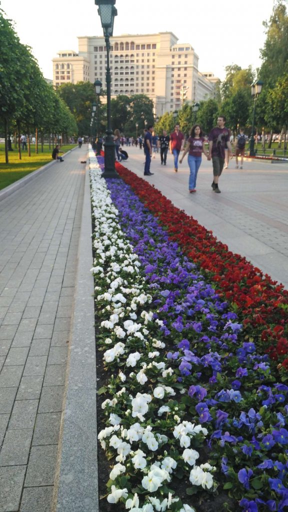 Russian flag flowers