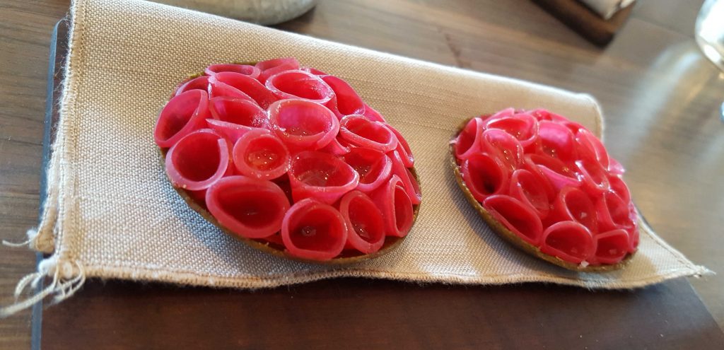 ‘Radish pie’. Pickled slices of radish curled into a beautiful pattern, nestled gently inside a seaweed pie shell. Fresh and crisp with a hint of salt.